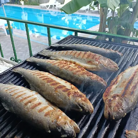 Begonya Kemer-all ınclisuve