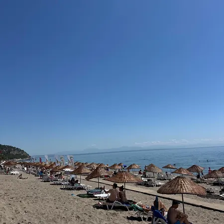 Begonya Kemer-all Inclisuve