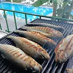 Begonya Kemer-all Inclisuve